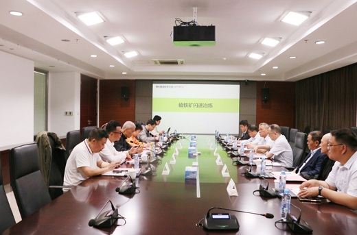 集團公司聚焦硫鐵礦資源高效開發