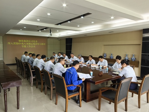 集團(tuán)公司黨委召開(kāi)專(zhuān)題工作會(huì)議對(duì)整治違規(guī)吃喝問(wèn)題進(jìn)行再?gòu)?qiáng)調(diào)再部署