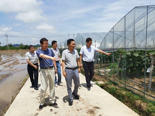 公司領導赴聯建村主持召開聯合黨委會