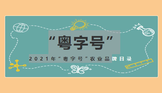 市領導來集團開展春節慰問活動