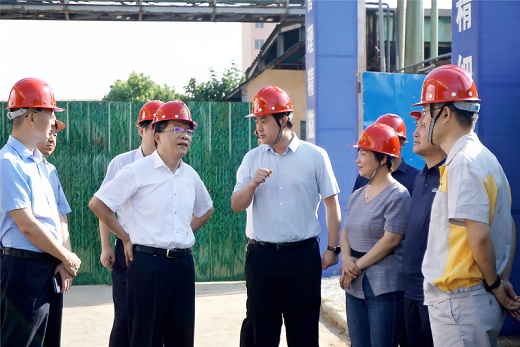 丁純來安納達督導(dǎo)環(huán)保項目建設(shè)